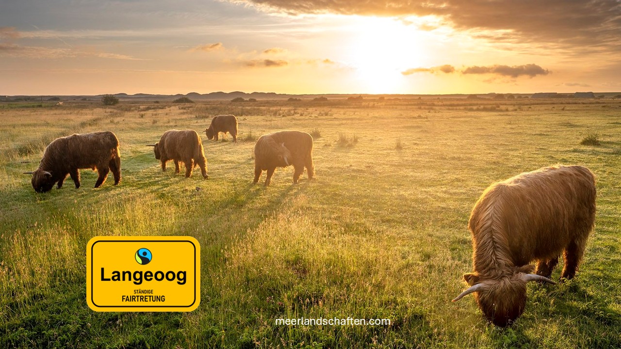 Übersichtskarte von Langeoog mit der Aufschrift Moin